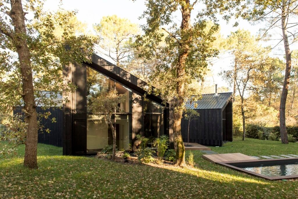 Maison dans les Arbres / OECO Architectes