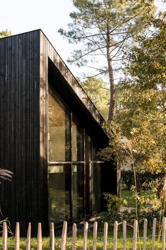 maison-dans-les-arbres-oeco-architectes-10 Maison dans les Arbres / OECO Architectes