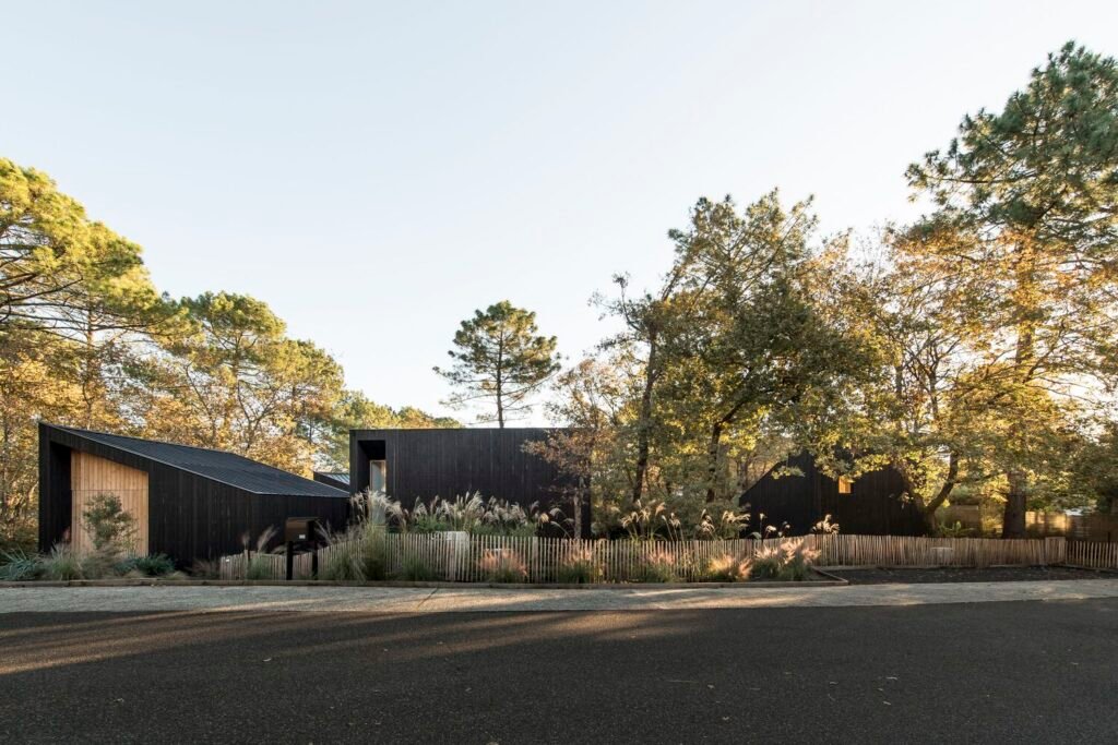 Maison dans les Arbres / OECO Architectes