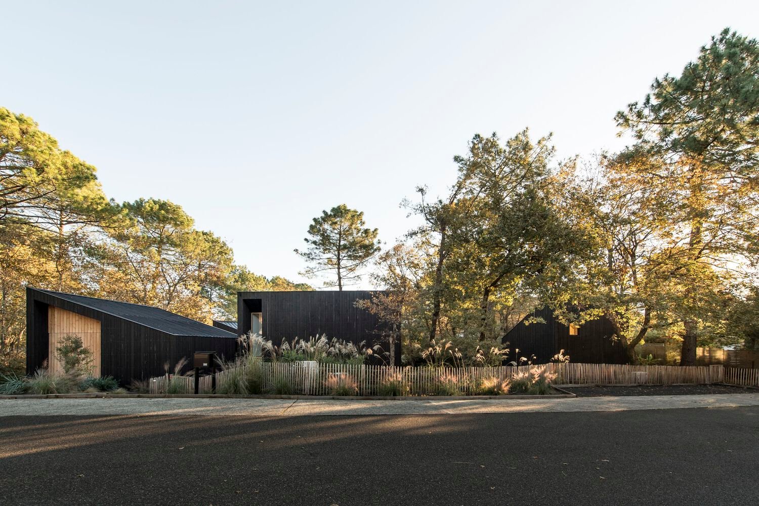 Maison dans les Arbres / OECO Architectes