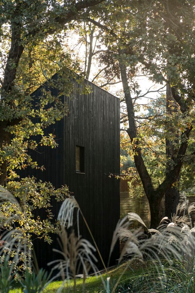 Maison dans les Arbres / OECO Architectes