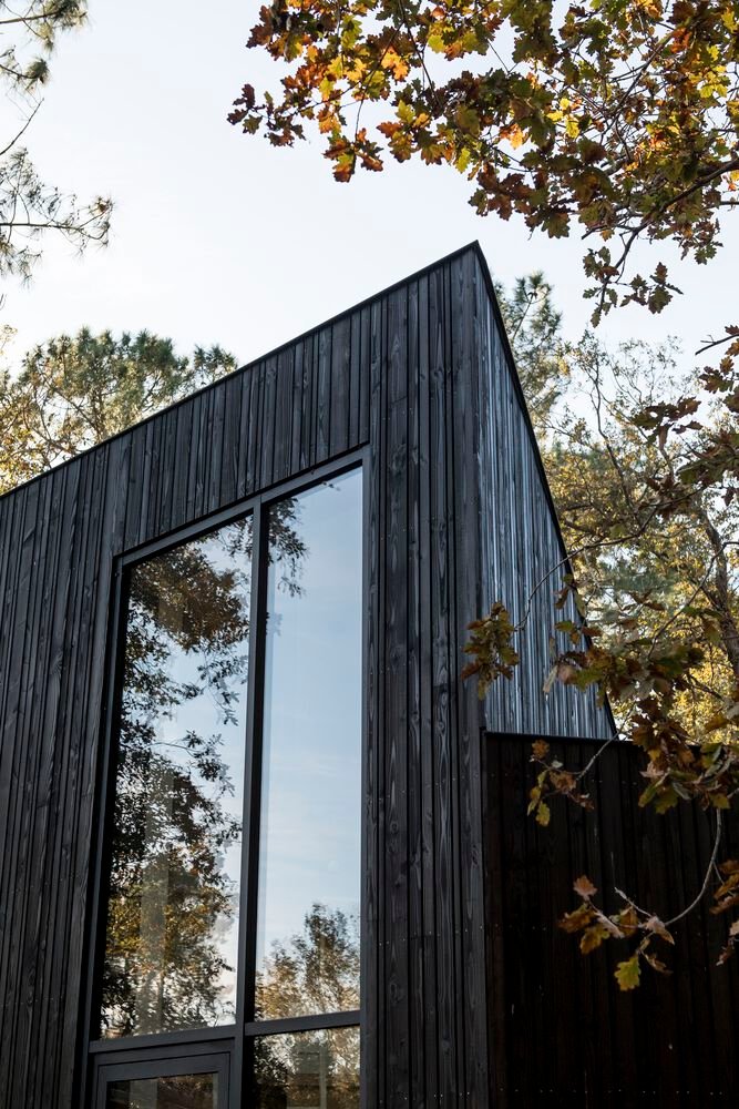 Maison dans les Arbres / OECO Architectes