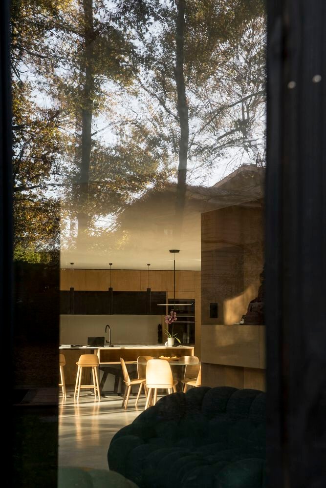 Maison dans les Arbres / OECO Architectes