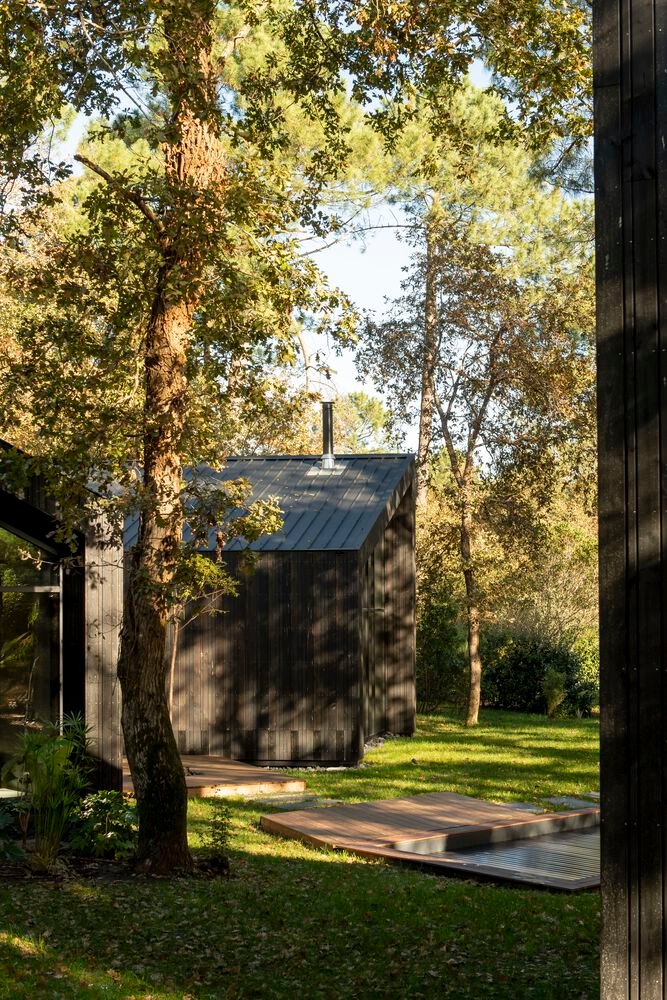 Maison dans les Arbres / OECO Architectes