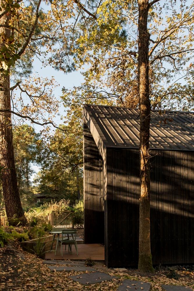 Maison dans les Arbres / OECO Architectes