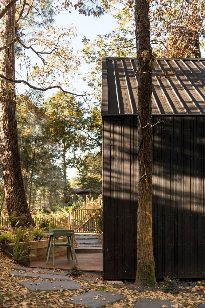 Maison dans les Arbres / OECO Architectes