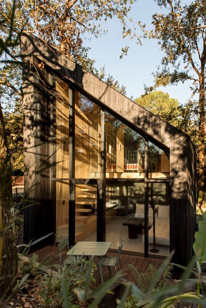 Maison dans les Arbres / OECO Architectes