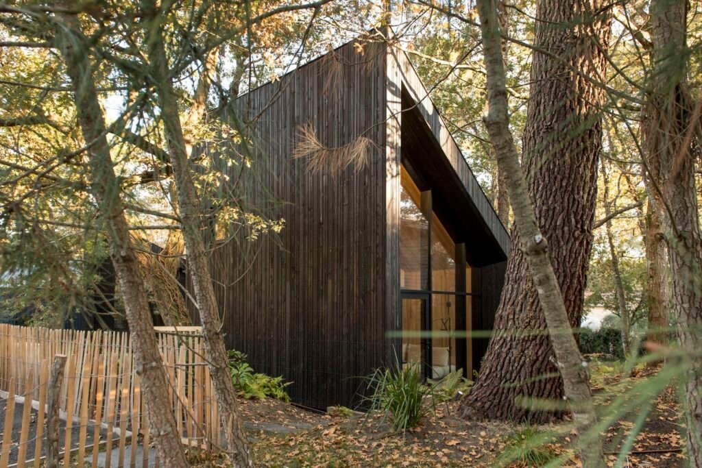 Maison dans les Arbres / OECO Architectes