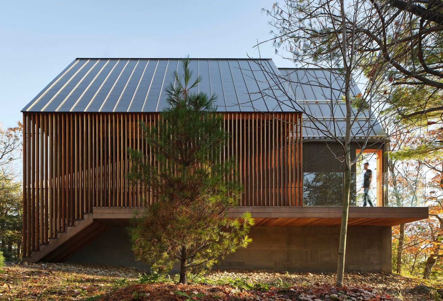 Résidence Bunkie sur la Colline / Dubbeldam Architecture + Design