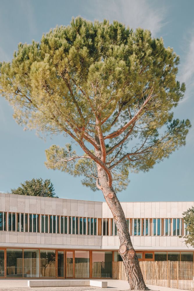 Bâtiment Fossile à l’École de Cabriès / Amelia Tavella Architectes